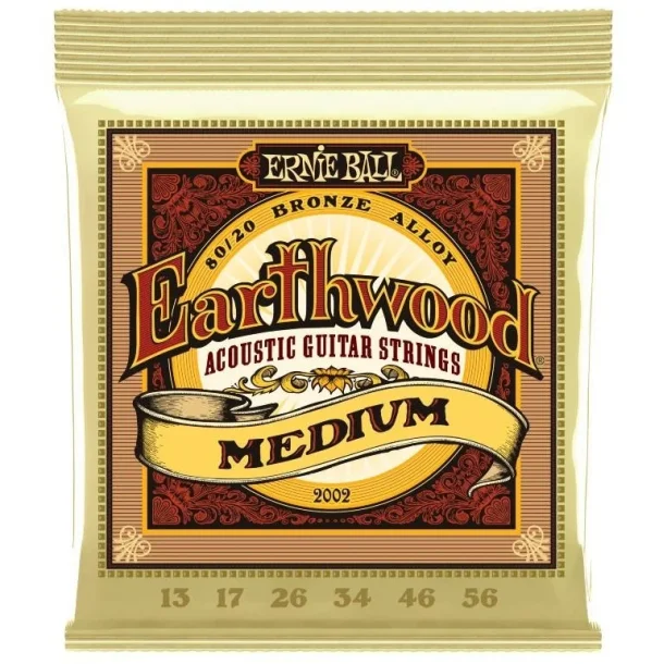 Ernie Ball 2002 Earthwood 80/20 Medium